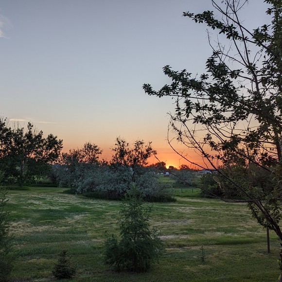 Meet your Posher, Gregory joseph - Picture 1 of 1